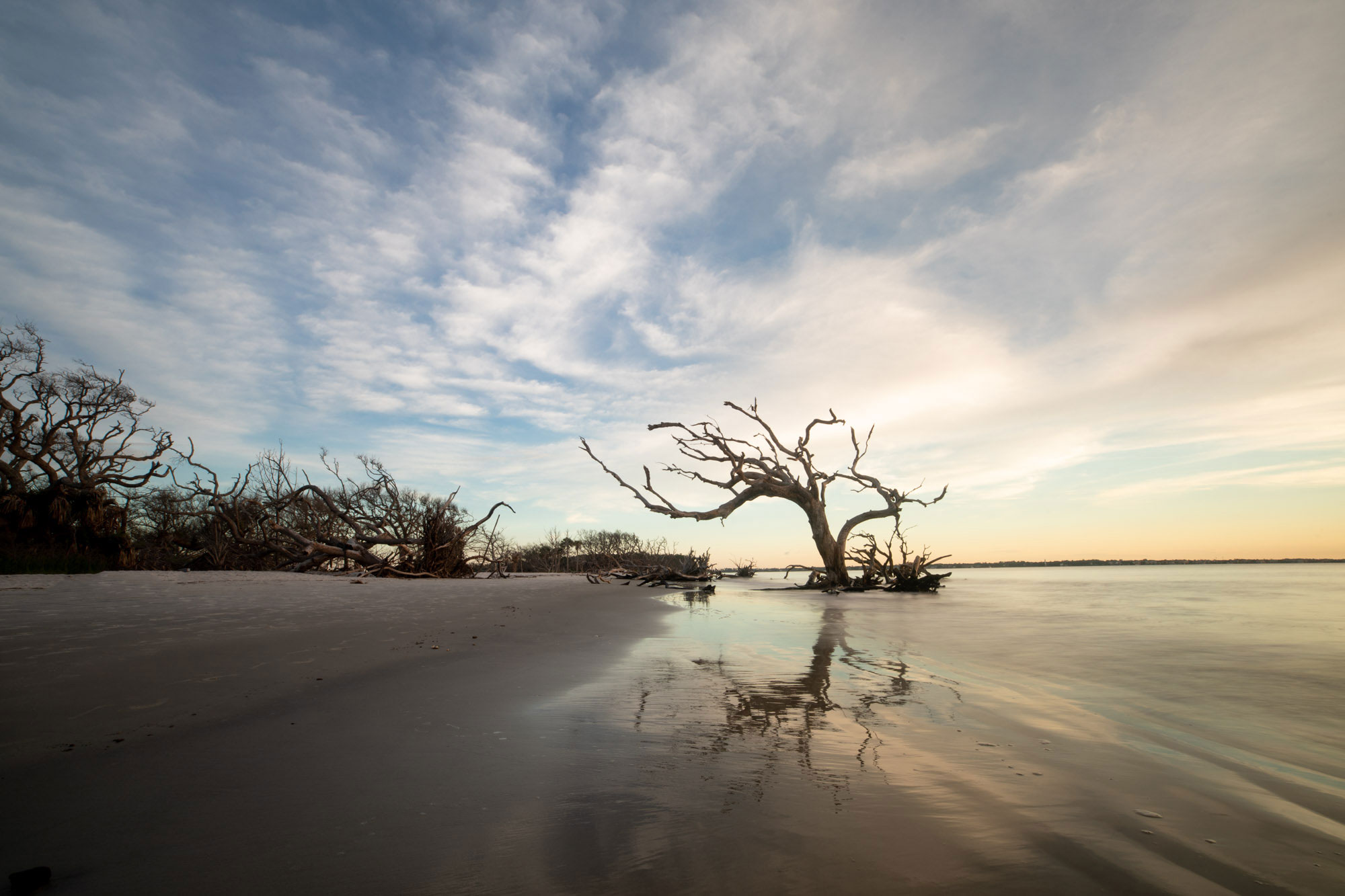 Golden Isles Palliative Care